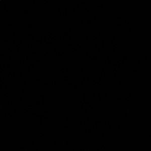 Meet your Posher, Jess